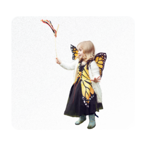 butterfly Dress costume